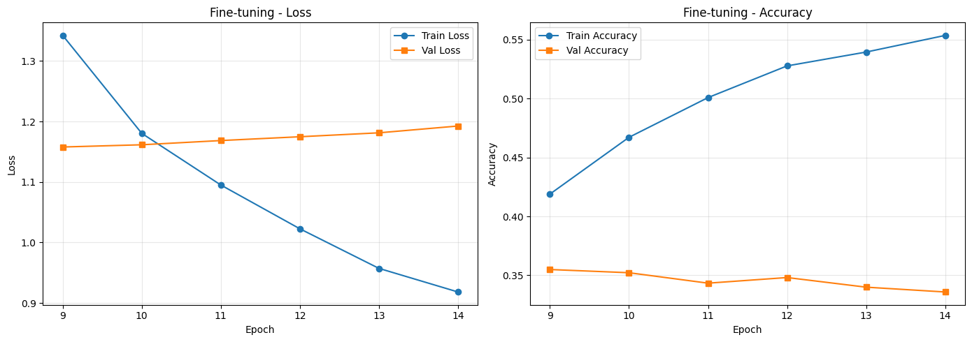 06 - Transfer Learning and Fine-tuning — Application of AI