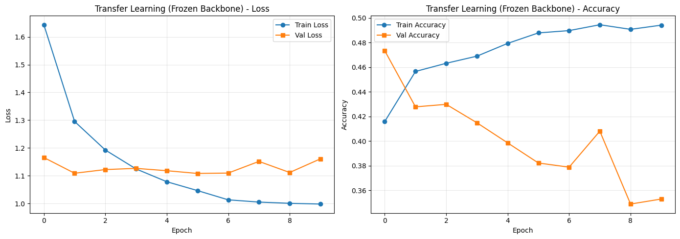 06 - Transfer Learning and Fine-tuning — Application of AI
