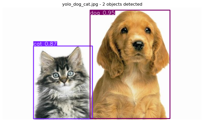 09 - Object Detection with Ultralytics YOLO — Application of AI